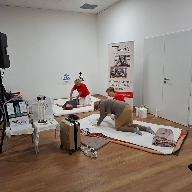 Gerincnap 2025: fókuszban a mozgásszervi egészség és a szakemberképzés Gerincnap 2025: fókuszban a mozgásszervi egészség és a szakemberképzés, Pannon Kincstár szakmai cikk