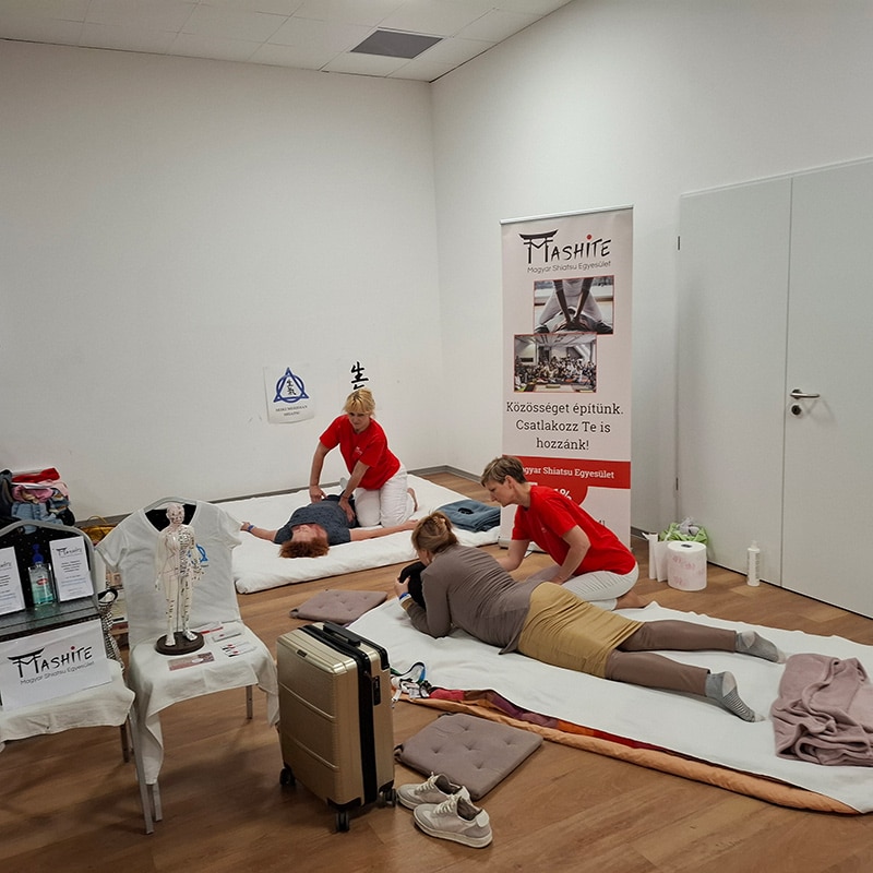 Gerincnap 2025: fókuszban a mozgásszervi egészség és a szakemberképzés Gerincnap 2025: fókuszban a mozgásszervi egészség és a szakemberképzés, Pannon Kincstár szakmai cikk